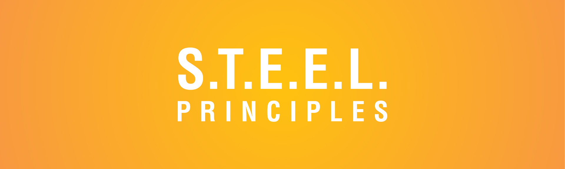 S.T.E.E.L. Principles
